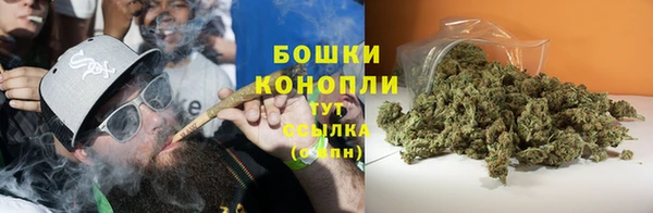 стаф Беломорск